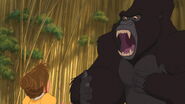 Kerchak roars at Jane, frightening her.