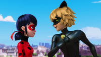 Animan - Ladybug and Cat Noir 01