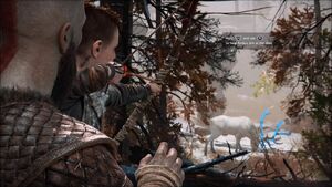 Atreus about to kill a deer