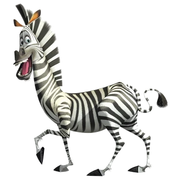 Marty the Zebra