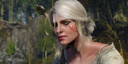 Ciri 2