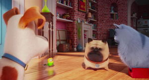 Secret-life-pets-disneyscreencaps.com-836