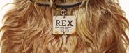 Rex's name tag.