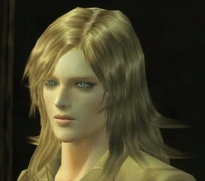 MGS3EvaPP.png (425 KB)