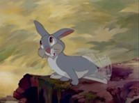 Young Adult Thumper
