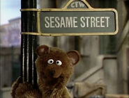 Sesame street baby bear2