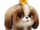Daisy (The Secret Life of Pets)