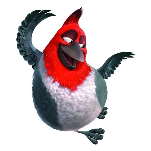 red and white bird rio 2