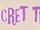 Secret Team (Steven Universe)