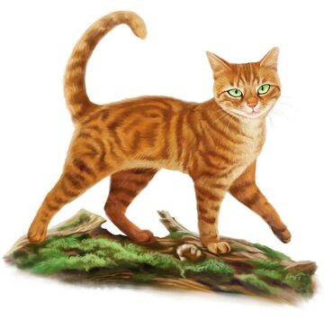 Firestar (Warrior Cats), Heroes Wiki