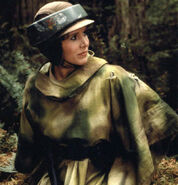 Leia forest diplomat