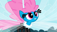 Seabreeze thanks Fluttershy S4E16.png
