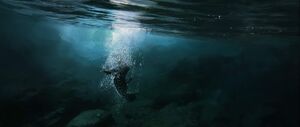 Rey falls underwater of the mirror cave.