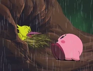 Tokkori does not take kindly to Kirby's intrusion into his nest.