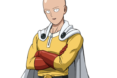 Garou (One Punch Man), Villains Wiki