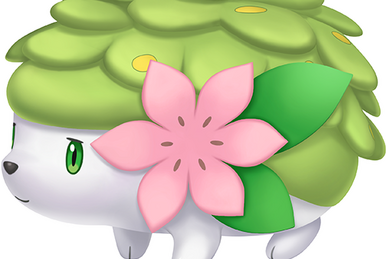 Shaymin (Canon)/ZeroTwo64, Character Stats and Profiles Wiki