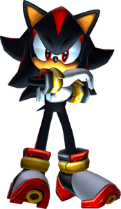 Shadow 3D Model