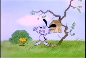 Snoopy getting all ticked off because Woodstock refused to go inside his new birdhouse.