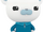 Captain Barnacles Bear