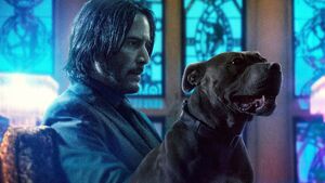 John Wick in the third film.