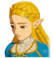 Princess Zelda's Sad Mugshot.