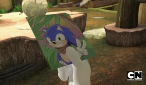 A picture of Sonic that Amy keep because she have feeling for him