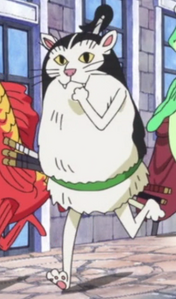Zoro wearing a cat disguise during Dressrosa Arc.