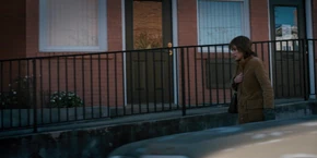 Joyce walking through the town.