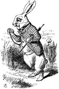 200px-Down the Rabbit Hole.jpg