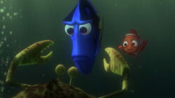 Dory glares at the crab when he rudely refuses to tell her and Nemo where Marlin went.