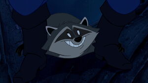 Meeko smiling nervously when John Smith spots him.