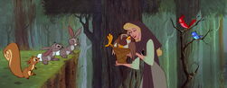 The forest animals enchanted with Aurora's singing.