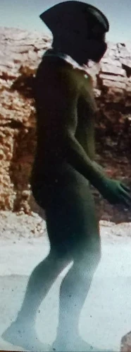 zoom movie captain zoom suit