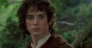 Frodo 2