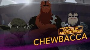 Chewbacca - Wookiee Warrior Star Wars Galaxy of Adventures