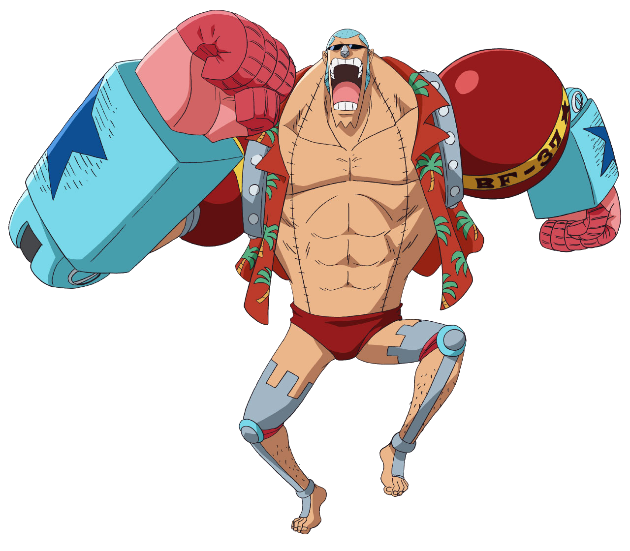 one piece franky after 2 years