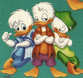 Quack Pack