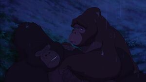 Kala tending to a dying Kerchak