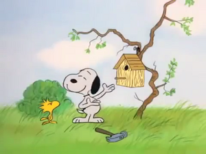 Snoopy has a birdhouse for Woodstock in It's the Easter Beagle, Charlie Brown!