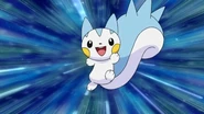 Dawn's Pachirisu