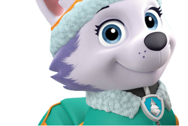 Zuma (PAW Patrol), Heroes Wiki