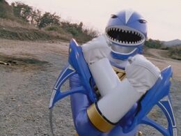 Blue Shark Fighting Fins.jpg
