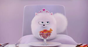 Secret-life-pets-disneyscreencaps.com-9274