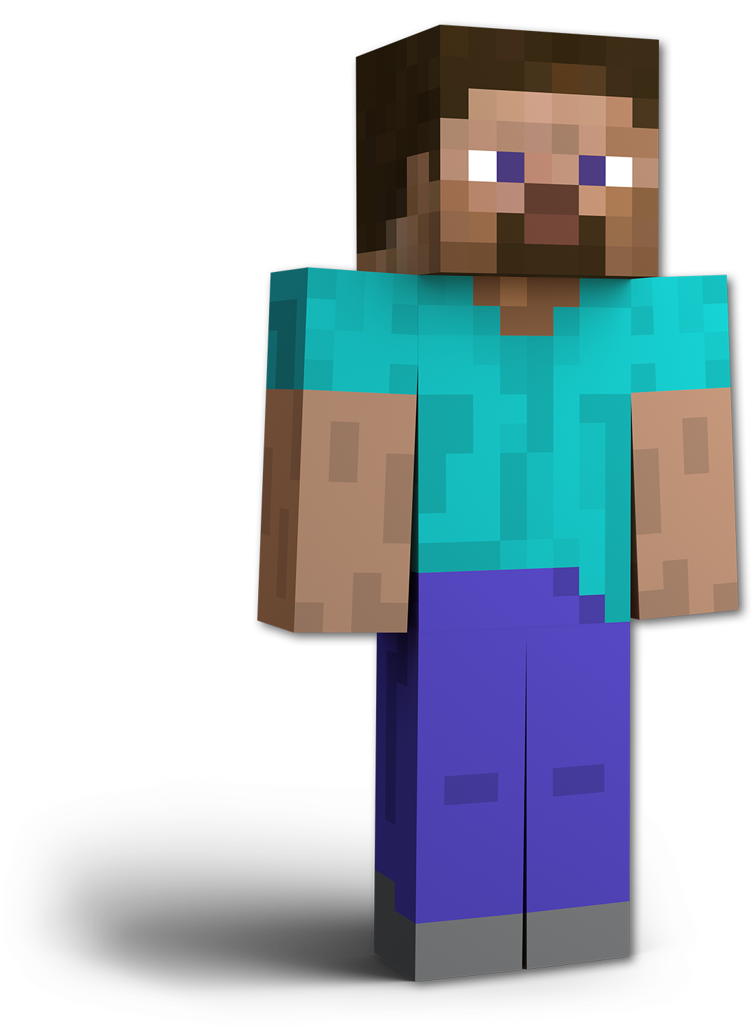 end of minecraft steve