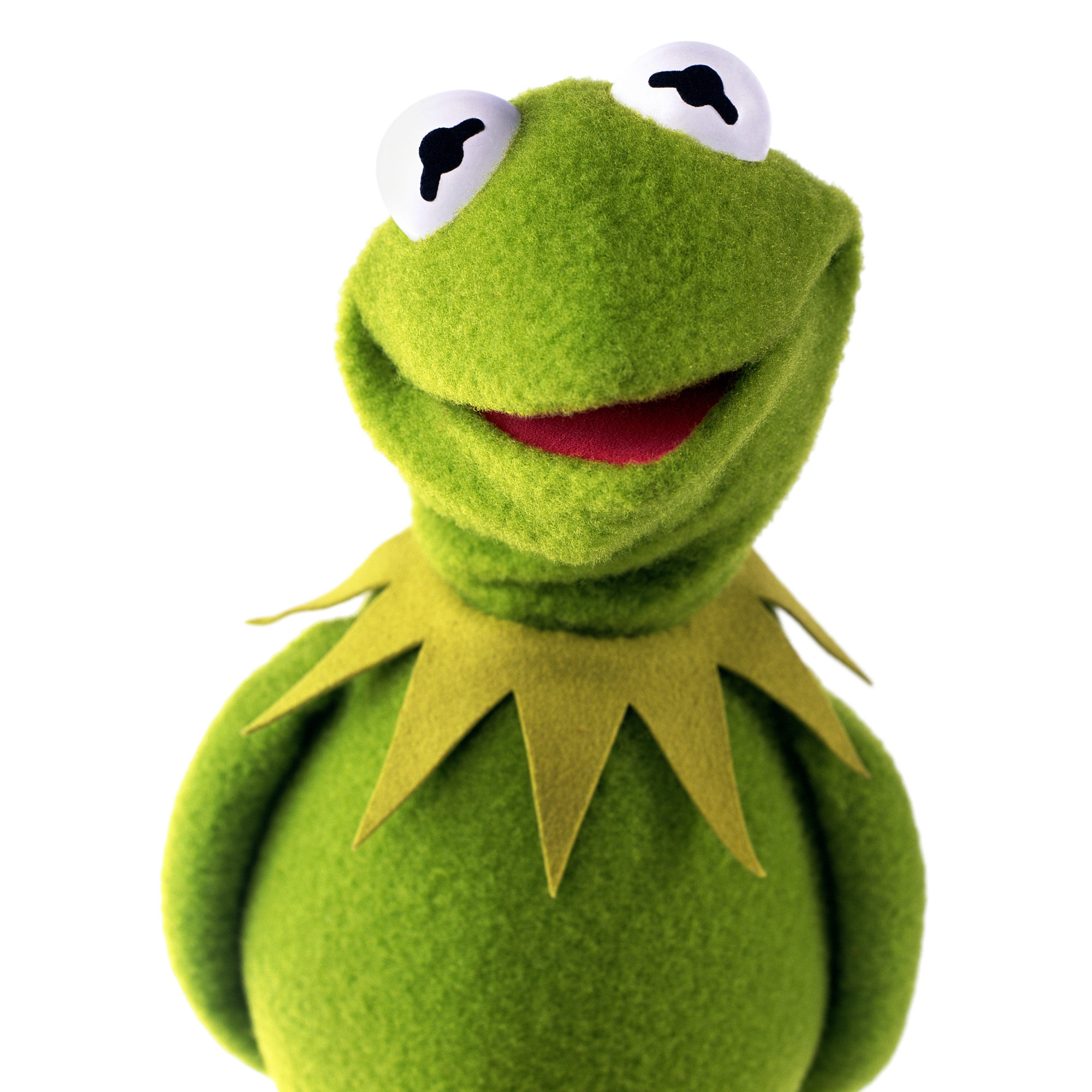Disco kermit best sale doll
