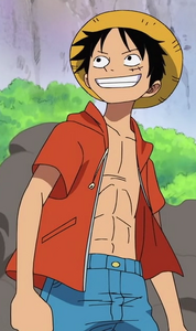 Luffy's outfit during the Little East Blue Arc.