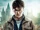Гарри Поттер