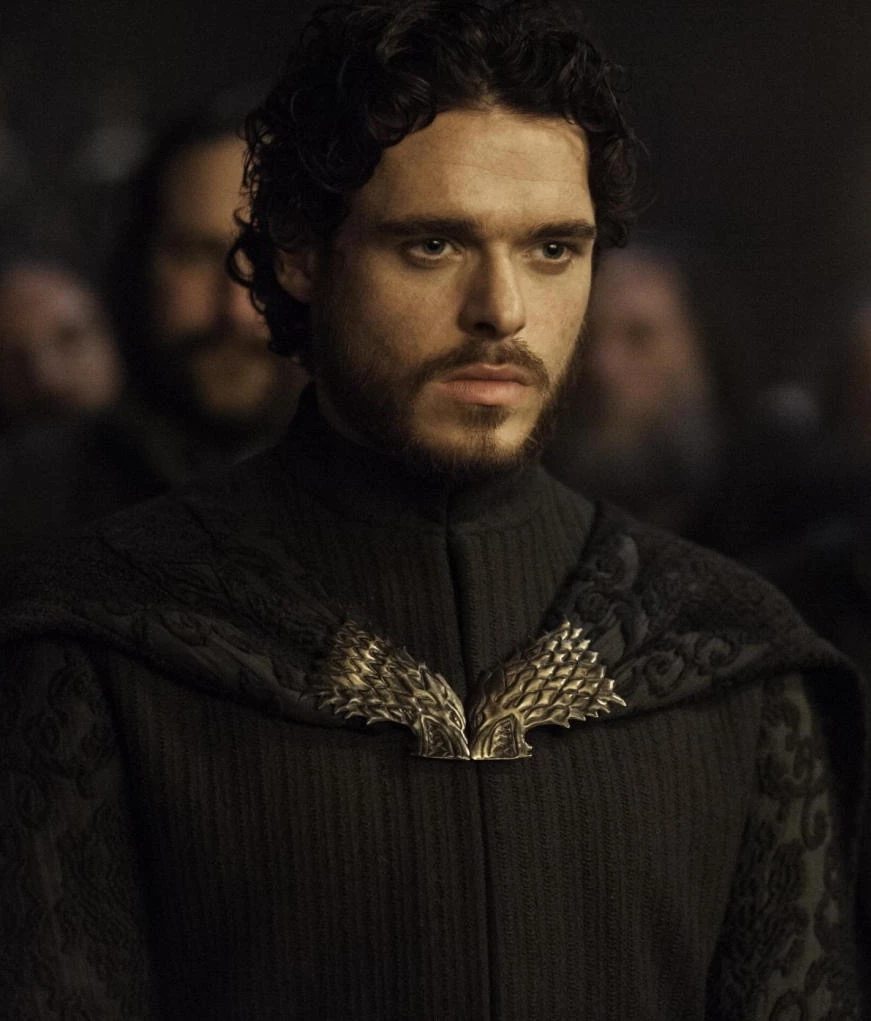 robb stark | heroes wiki | fandom