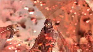 Roach's-death