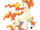 Rapidash